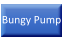 Bungy Pump